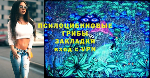 стаф Арсеньев