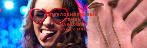 ГАЛЛЮЦИНОГЕННЫЕ ГРИБЫ Козловка