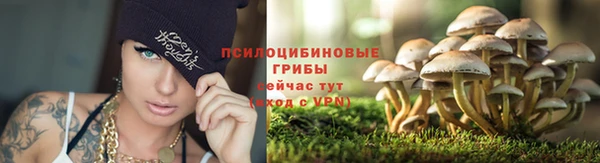 синтетический гашиш Костерёво
