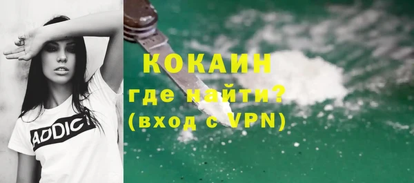 ГАЛЛЮЦИНОГЕННЫЕ ГРИБЫ Козловка