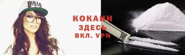 ГАЛЛЮЦИНОГЕННЫЕ ГРИБЫ Козловка