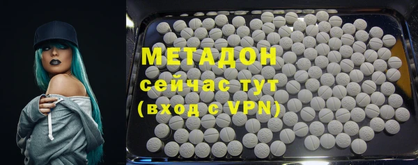 ГАЛЛЮЦИНОГЕННЫЕ ГРИБЫ Козловка